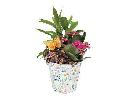 Mother's Day Garden Planter - 1.0 EA