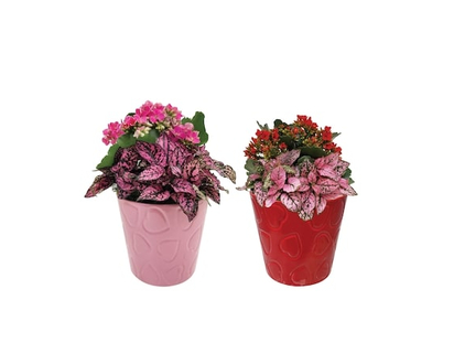 Valentine's Day Mug Planter - 1.0 EA