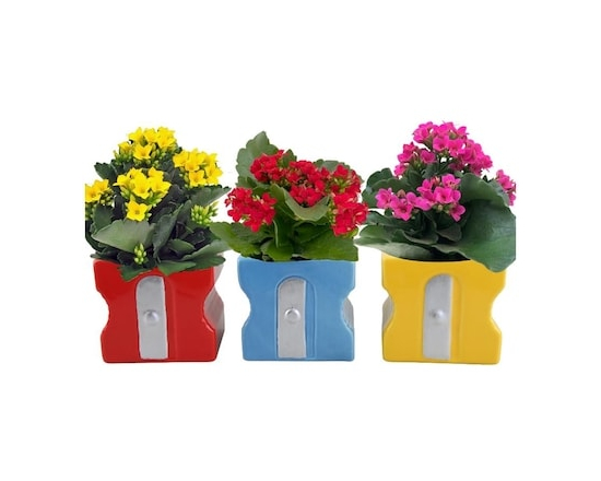 Teacher Appreciation Planter - 1.0 EA