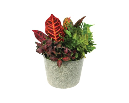 Medium Garden - 1.0 EA