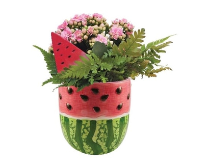 Novelty Citrus Planter - 1.0 EA