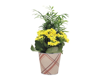 Seasonal Garden Planter - 1.0 EA