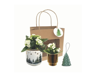 Holiday Table Scape - 1.0 EA