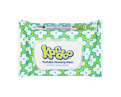 Kandoo Flushable Cleansing Wipes - 42.0 EA