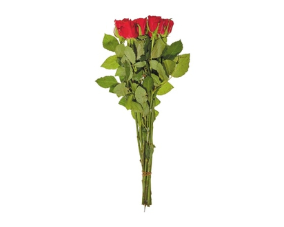 Roses 9-Stem - 1.0 EA