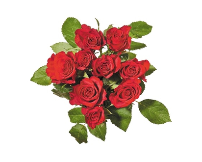 Roses 9 tiges - 1.0 EA