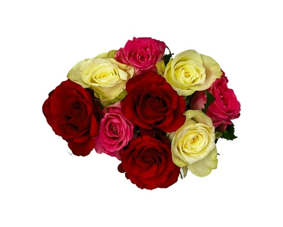 9 Stem Intermediate Rose Bunch - 1.0 EA