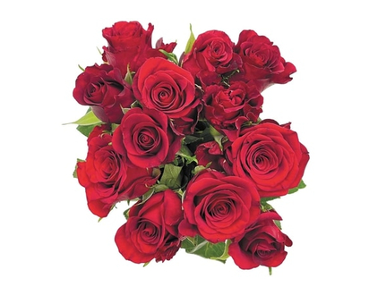 Red Dozen Roses - 1.0 EA