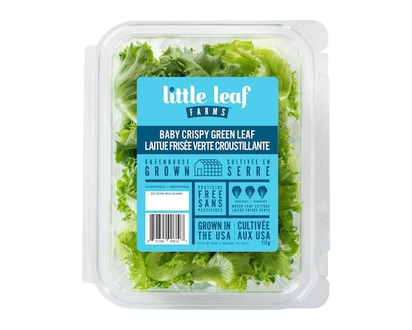 Little Leaf Baby Crispy Green Leaf - 113.0 G