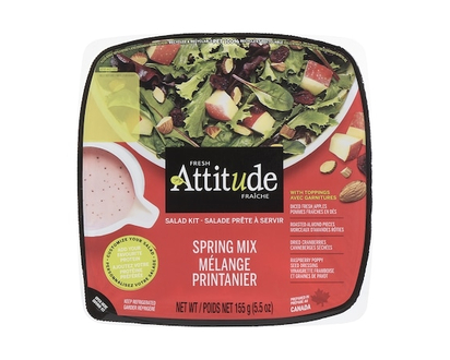 Fresh Attitude Spring Mix Salad with Toppings Single Sized - 155.0 G