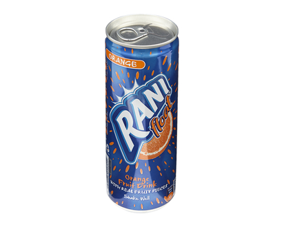 Rani Orange Fruit Drink - 240.0 ML