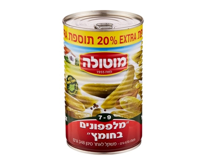 Motola Kosher Cucumbers in Vinegar - 670.0 G