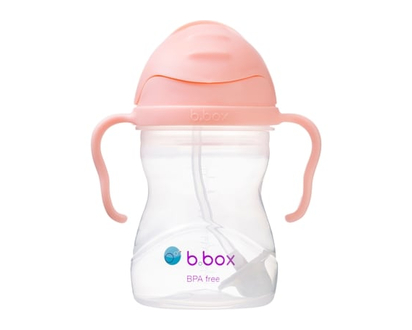 B.BOX Sippy Straw Cup 240ml - Tutti Frutti - 1.0 EA