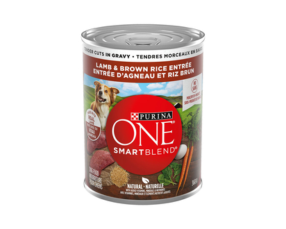 Purina ONE Smartblend Dog Food - Lamb/Brown Rice - 368g