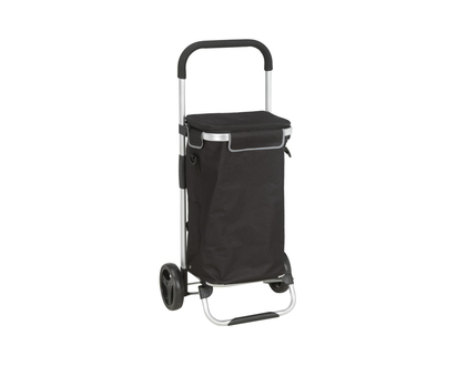 Collection by London Drugs Shopping Cart - 45X34X97cm - Aluminum