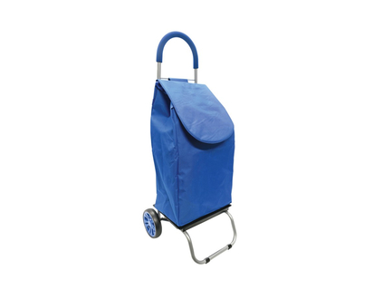 Today by London Drugs Shopping Cart with Lining in Blue