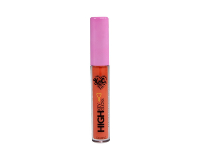 KimChi Chic Beauty High Key Gloss - Natural (06)