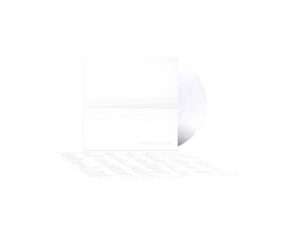Foo Fighters - But Here We Are - LP vinyl
