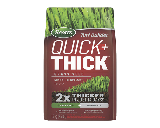 Scotts Turf Builder Quick + Thick Sunny Bluegrass Mix 12-0-0 Grass Seed and Nutrients - 1.2kg