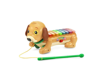 VTech Zoo Jamz Doggy Xylophone