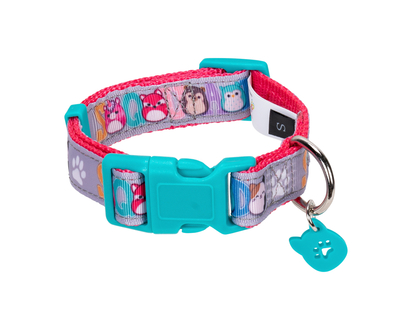 SQUISH DOG COLLAR