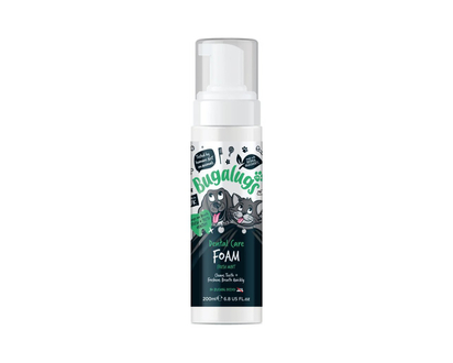 BL DENTAL FOAM
