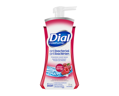 Dial Complete Antibacterial Foaming Hand Wash - Power Berries - 221ml