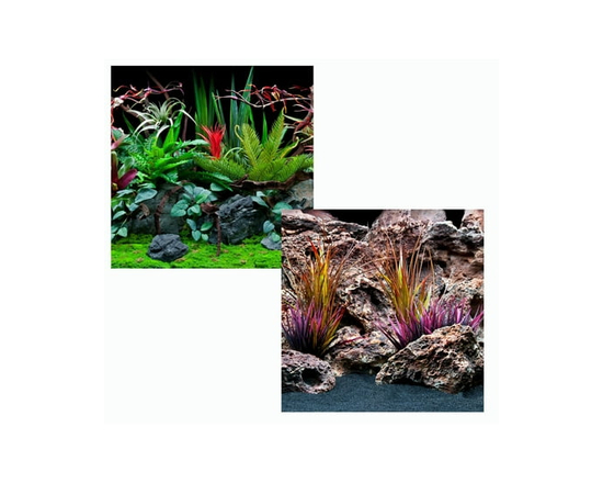 Marina Double Sided Aquarium Background, Jungle Flora and Red Lace, 12" x 24" - 30 x 60 cm (12 x 24 in)