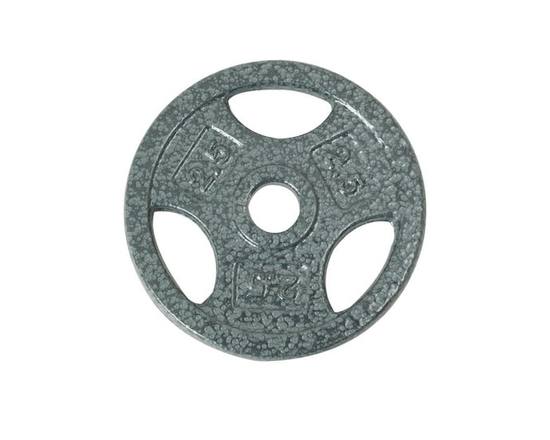 GoZone Grip Weight Plate – Silver - 2 lbs