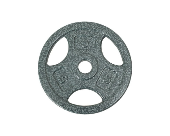 GoZone Grip Weight Plate – Silver - 5 lbs