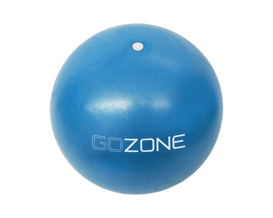 GoZone Exercise Ball for Pilates, Balance Ball for Toning, Yoga and Barre, Anti Burst, Includes Hand Pump, Blue, 9 Inch