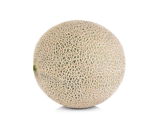 Cantaloupe