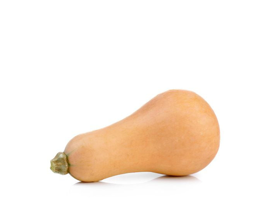 Squash, Butternut