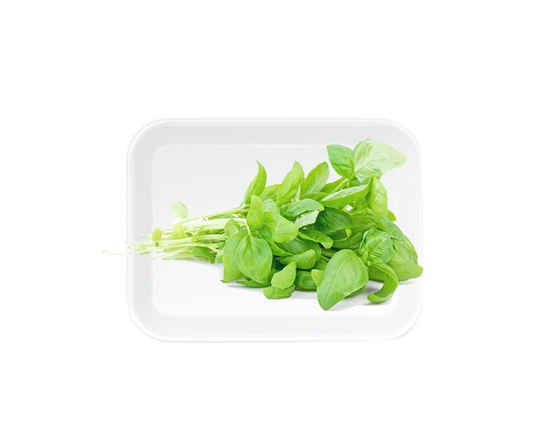 Fresh Basil