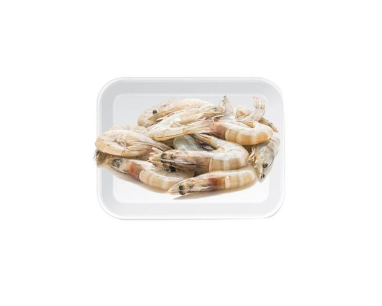 Fresh White Shrimp