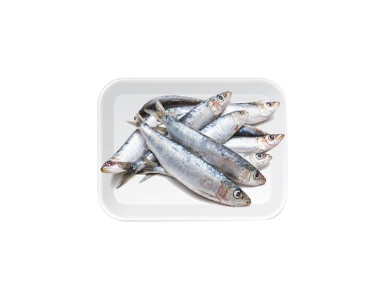 Sardine