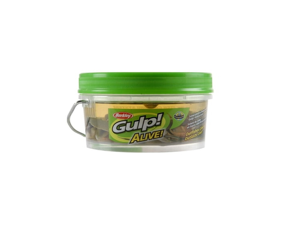 Berkley Gulp! Vivant! Fretin Assortiment
