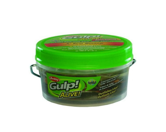 Berkley Gulp Alive 3" Minnow Assortment