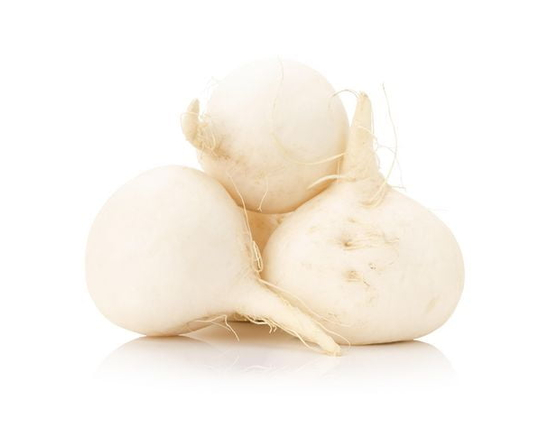 White Turnip