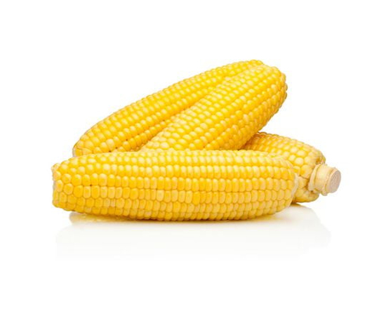 Corn on the cob