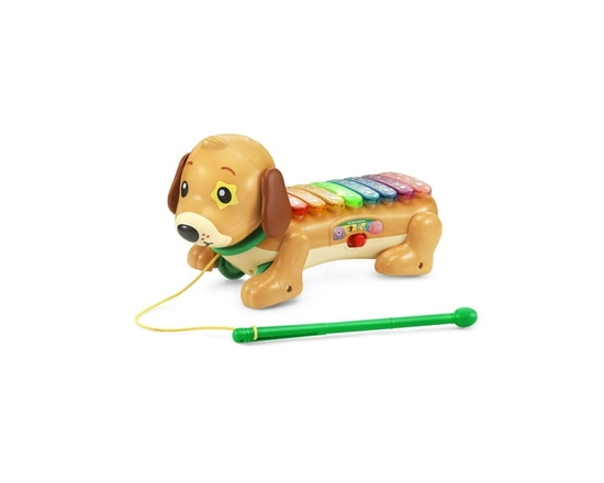 VTech Zoo Jamz Doggy Xylophone - Infant Musical Toy - English Version