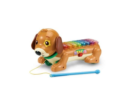 VTech Elton, mon rouli xylophone - Jouet musical pour bébé - Version française