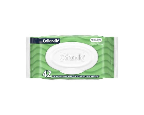 Cottonelle GentlePlus Flushable Wet Wipes with Aloe & Vitamin E, 1 Flip-Top, 42 Wipes