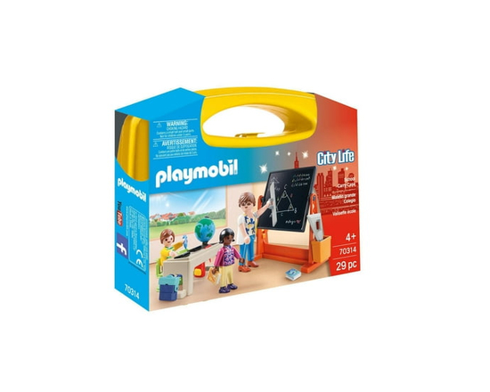 Carry Case Large School
