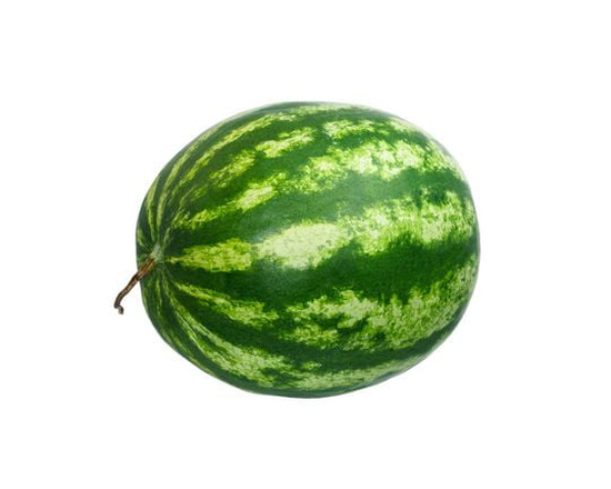 Grande pastèque sans pépins