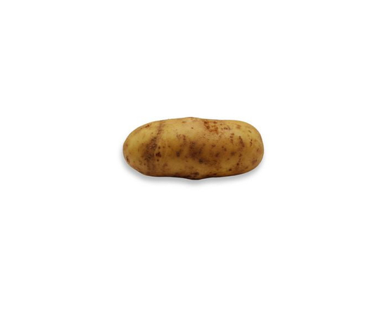Pomme de terre russet