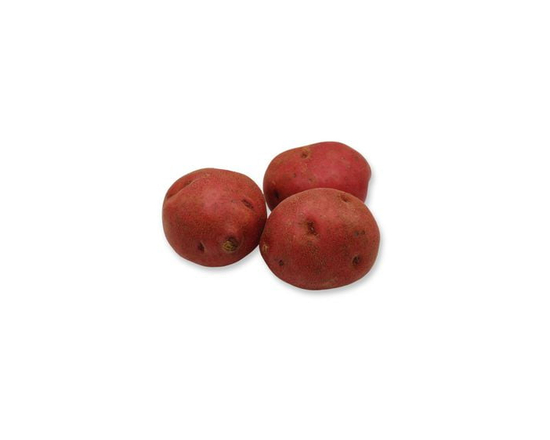 Pomme de terre rouge