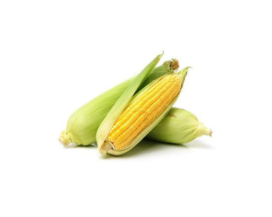 Corn on the cob
