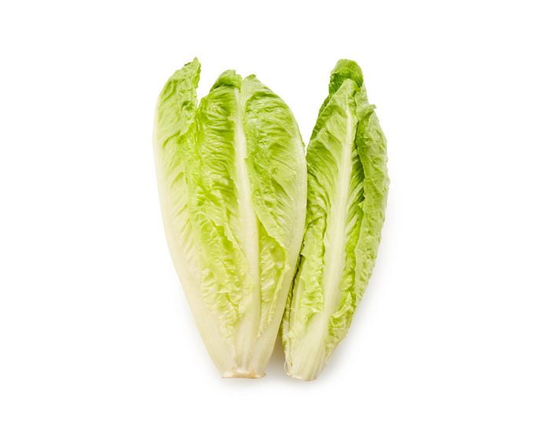 Lettuce, Romaine