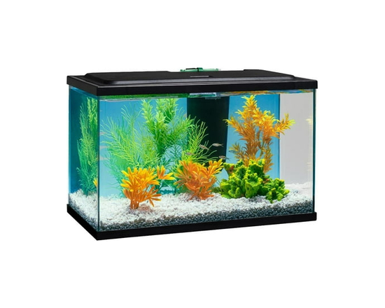 Ensemble de démarrage d'aquarium à DEL Tetra, 5,5 gallons